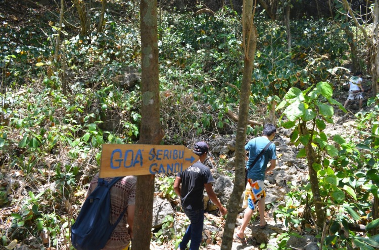 Lewati hutan menuju Goa Lalay